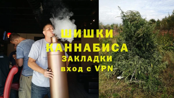 крисы Строитель