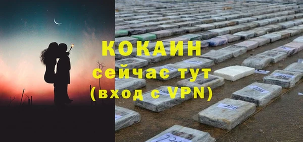 крисы Строитель