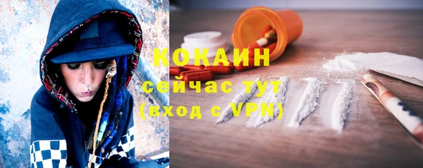 крисы Строитель